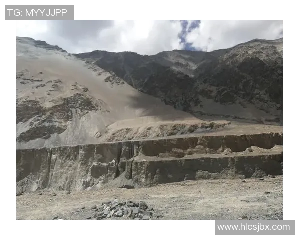 深度对话：探索黄丽在和平精英中的成长与挑战之路