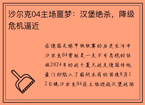沙尔克04主场噩梦：汉堡绝杀，降级危机逼近